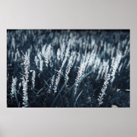PHOTOGRAPHIE DE CLOSEUP DE PLANTE VERT