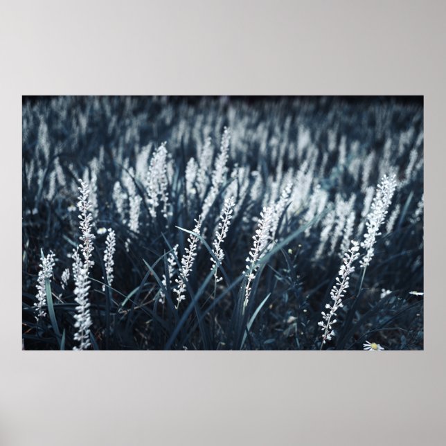 POSTER PHOTOGRAPHIE DE CLOSEUP DE PLANTE VERT (Devant)