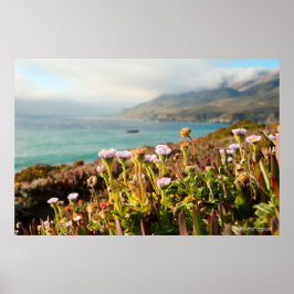 Poster Photographie de fleurs de l'océan Pacifique