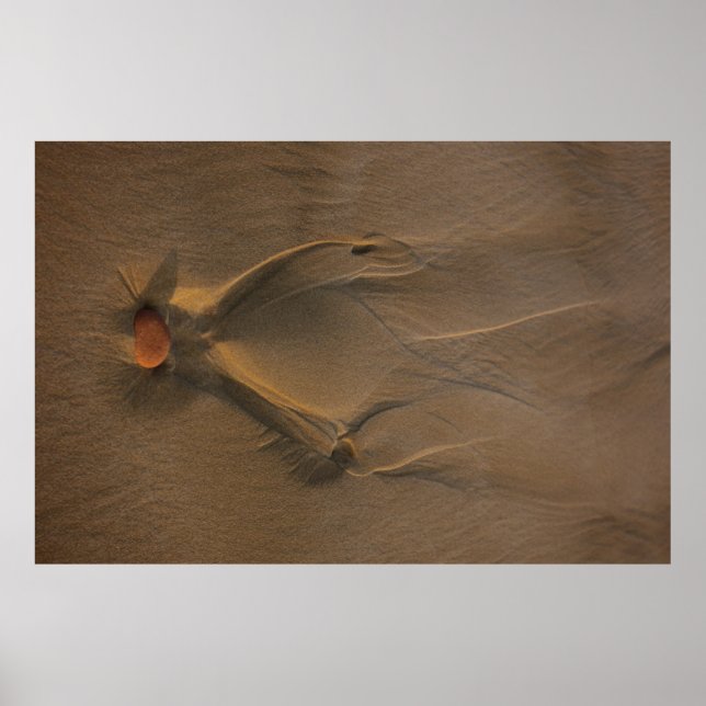 Poster Photographie de focalisation sélective du sable (Devant)