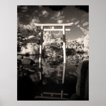 Photographie de jardin infrarouge