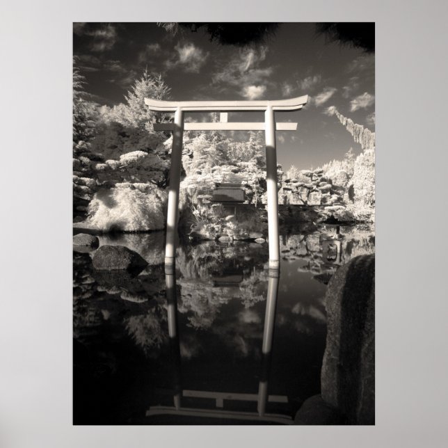 Poster Photographie de jardin infrarouge (Devant)