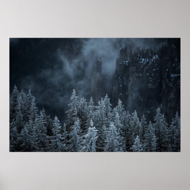 POSTER PHOTOGRAPHIE DE LA MONTAGNE ET DES ARBRES (Devant)