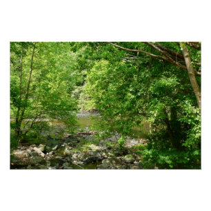 Poster Photographie de la nature dans le Maryland, vue su