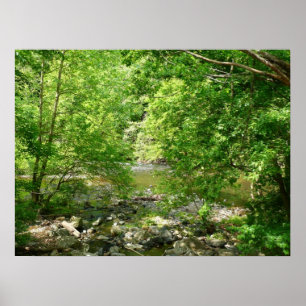 Poster Photographie de la nature dans le Maryland vue sur