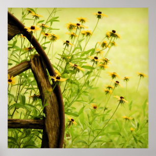 Poster Photographie de la roue Black Eyed Susan et Wagon