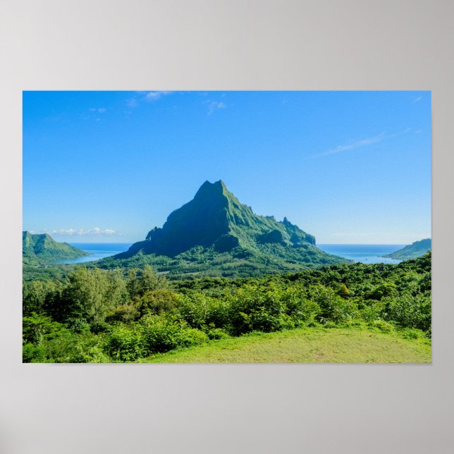 Poster Photographie de l'affiche Tropical green Moorea (Devant)