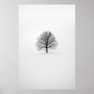 POSTER PHOTOGRAPHIE DE L'ARBRE