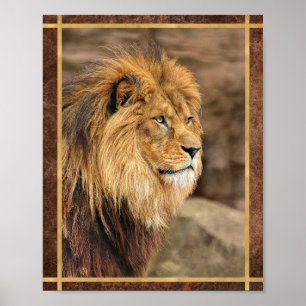 Poster Photographie de Lion de Profil