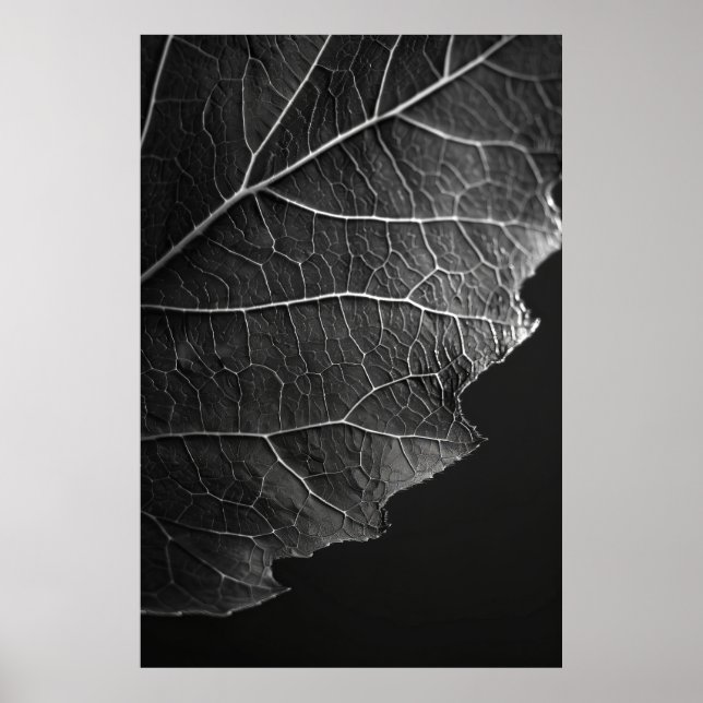 Poster Photographie de Macro par Nathan Wirth - Fermer (Devant)
