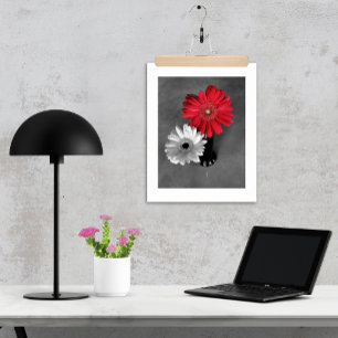 Poster Photographie de Marguerite de Gerber éclaboussée d