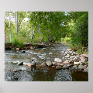 Poster Photographie de nature du ruisseau Oak et canards