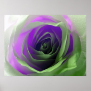 Poster Photographie de Neon Rose