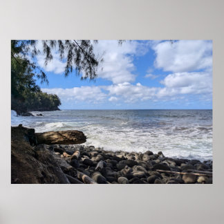 Poster Photographie de paysage naturel hawaïen