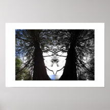 Photographie de réflexion de Twisted Branches Yose