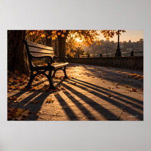 Poster Photographie d'ombre de banc de parc d'automne