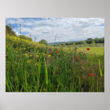 Photographie du bord de la rivière