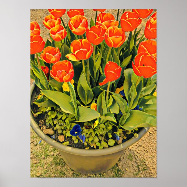 Poster Photographie du festival de fleurs oranges des tul (Devant)