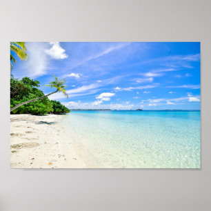 Poster Photographie du paysage des arbres sur le littoral