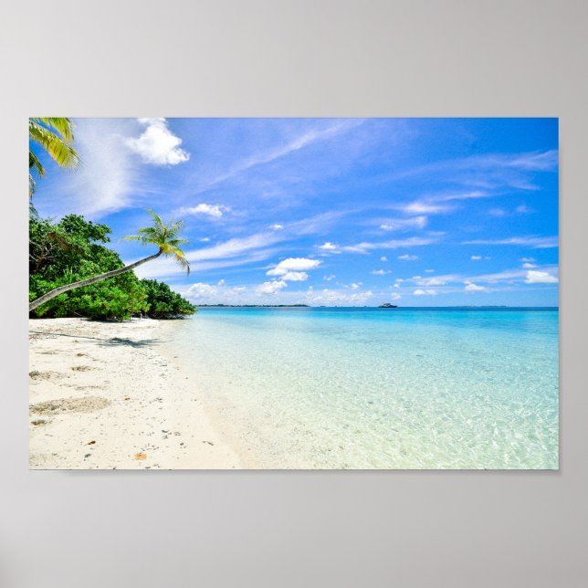 Poster Photographie du paysage des arbres sur le littoral (Devant)