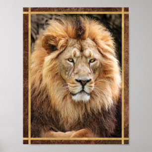 Poster Photographie du Roi Lion