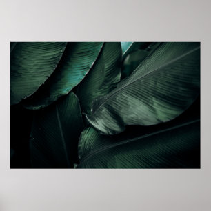 POSTER PHOTOGRAPHIE FEUILLE VERTE