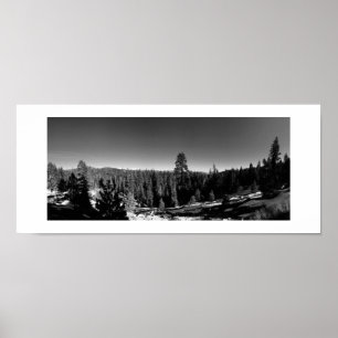Poster Photographie noir et blanc panoramique de la forêt