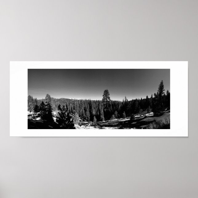 Poster Photographie noir et blanc panoramique de la forêt (Devant)