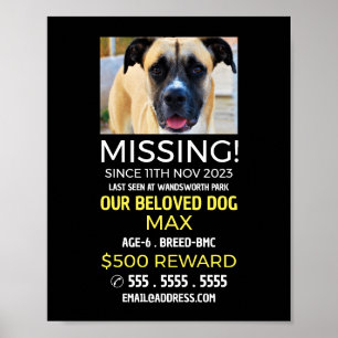 Poster Photographie personnalisée, animal de compagnie di