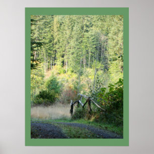 Poster Photographie pittoresque de pays d'arbres