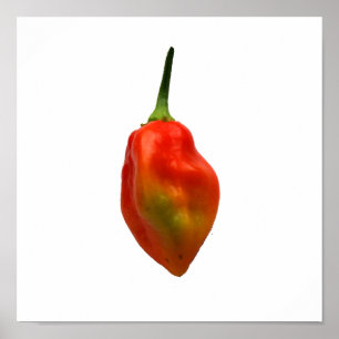 Poster Photographie simple de poivre de Habanero