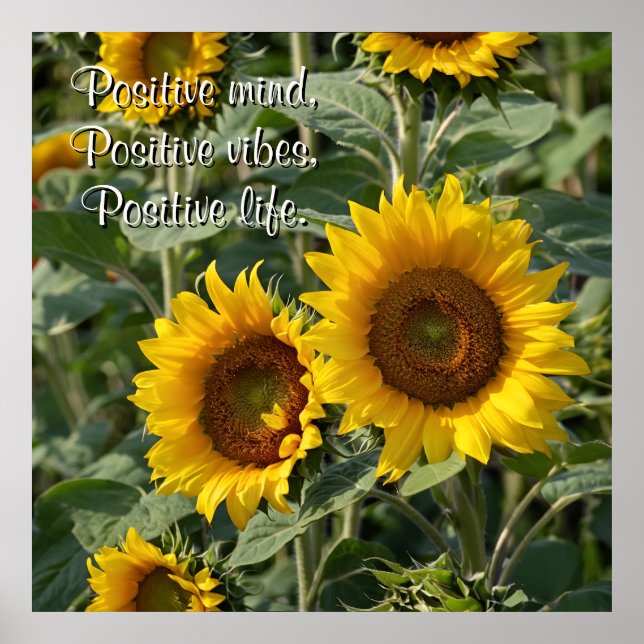 Poster Photographie tournesol dans la nature Personnalisé (Devant)