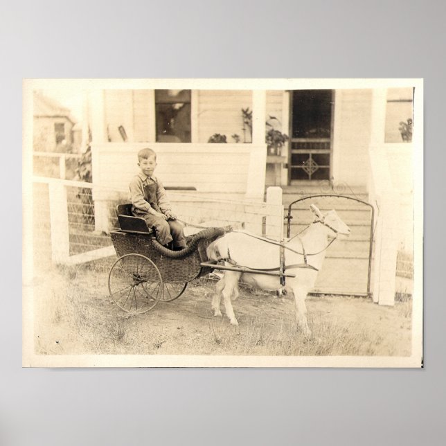 Poster Photographies précoces des enfants, point 04 (Devant)