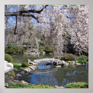 Poster photographique du jardin japonais