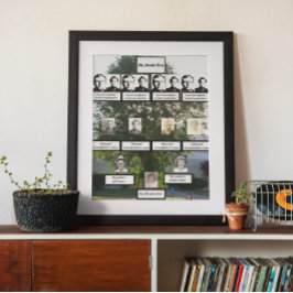 Poster Photos d'arbre de famille de l'orme d'été de quatr