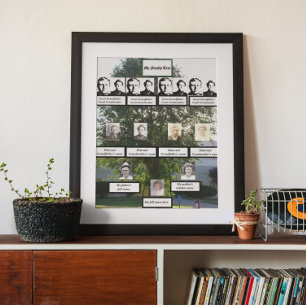 Poster Photos d'arbre de famille de l'orme d'été de quatr