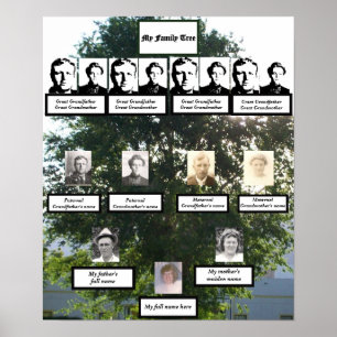 Poster Photos d'été de la famille Elm de quatre génératio