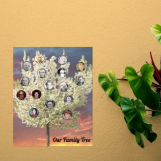 Poster Photos rondes avec arbre en fleurs blanc et couche
