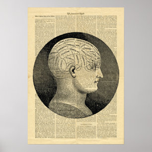 Poster Phréologie de la tête humaine dans le journ