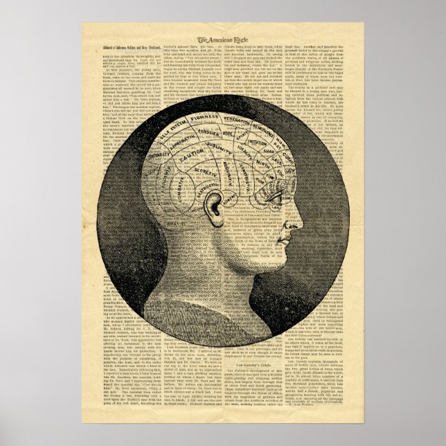 Poster Phréologie de la tête humaine dans le journ (Devant)