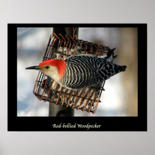 Poster Pic rouge