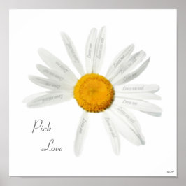 Poster Pick Love Daisy