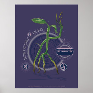 Poster PICKETT™ Le graphique BOWTRUCKLE™