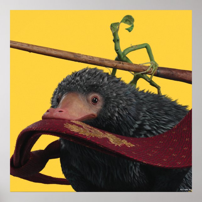 Poster Pickett & Teddy avec baguette et Cravate (Devant)