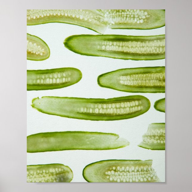 Poster Picks Green (Devant)