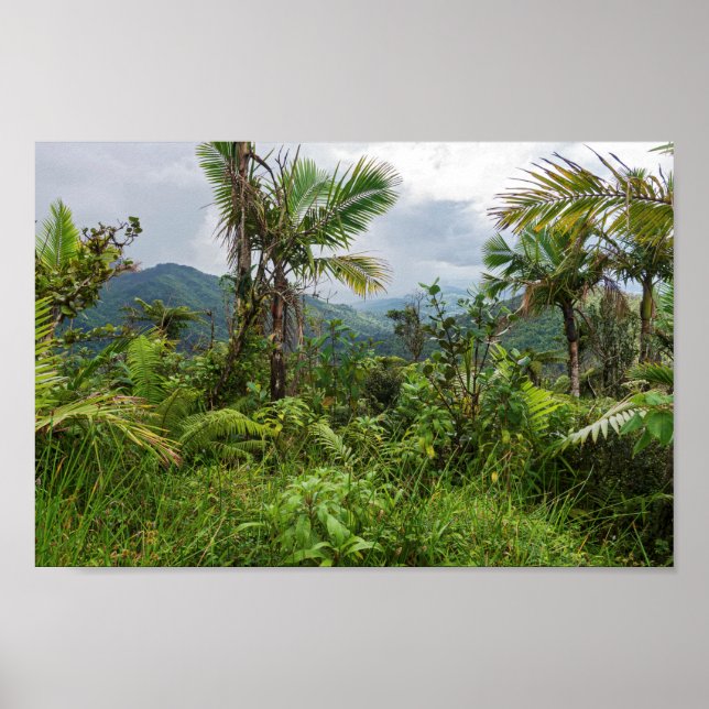 Poster Pics et vallées d'el yunque (Devant)
