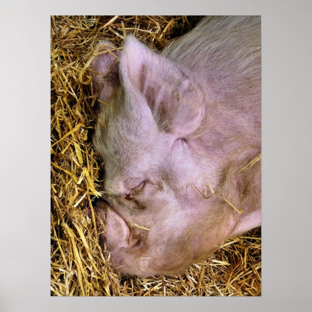 POSTER PIÈCES (Devant)