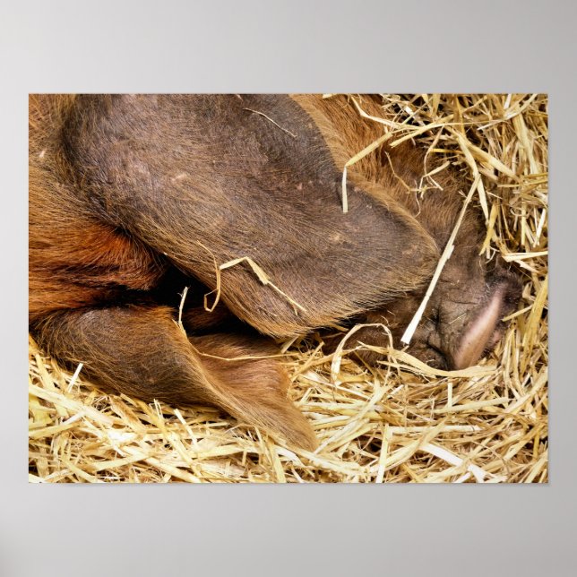 POSTER PIÈCES (Devant)