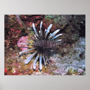 Poster Pièces détachées