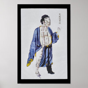 Poster Pied méridien Yangming d'estomac d'acuponcture